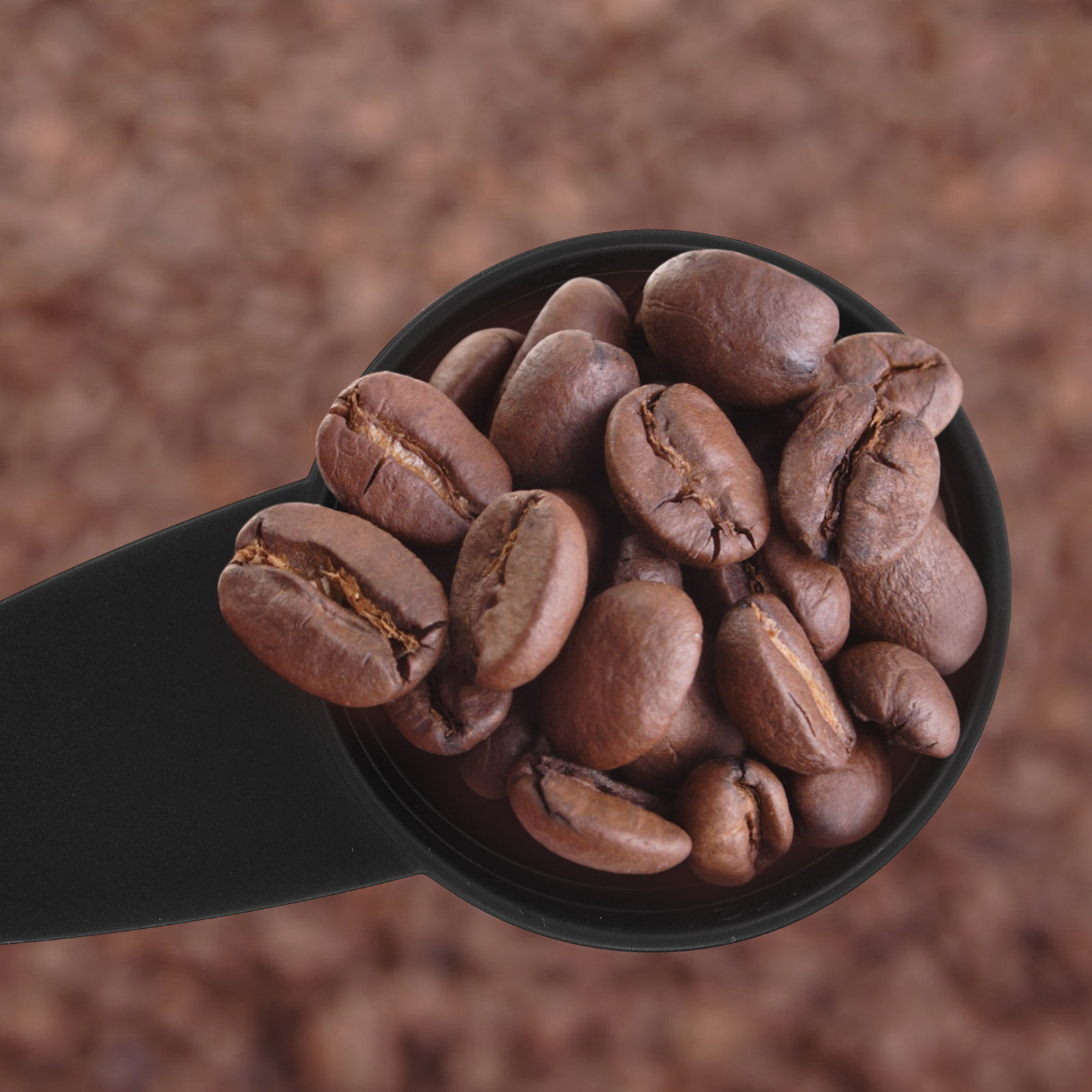 Set di 5 Cucchiai Dosatori con - Coffee Tea Sugar recensione e prezzo